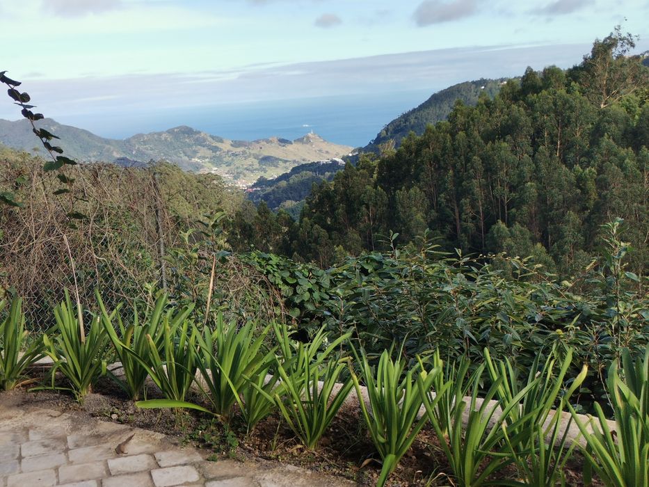 Permuto casa no Santo da Serra, por casa /ruína no Porto Santo  ou Fx