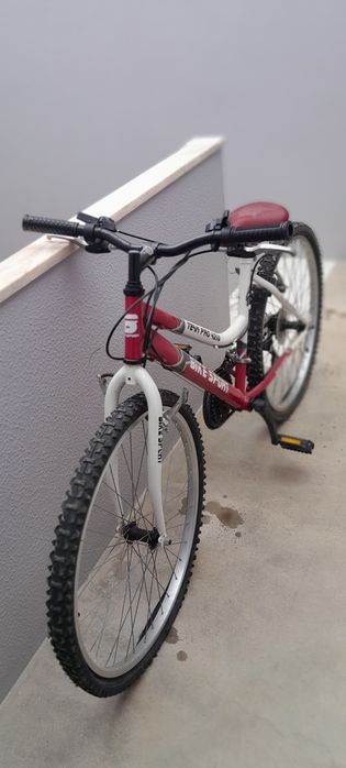 Bicicleta Team Pro 4210 Bike Sport