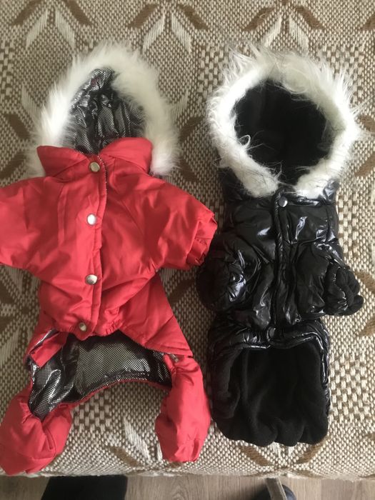 Одяг для маленьких собачок.