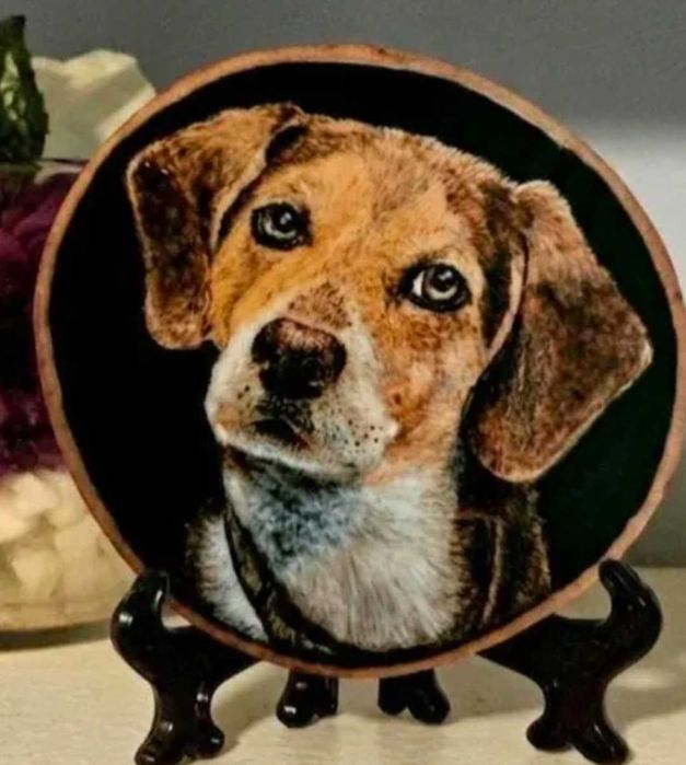 Retratos Personalizados de Animais Pintados à Mão | PAWS Studio
