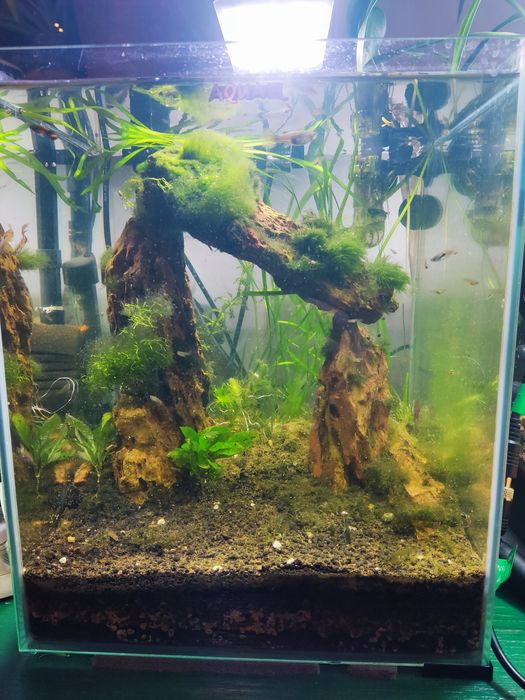 Akwarium Aquael 30l stabilne