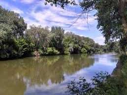 Будинок  капітальний с.Троїцьке.20 соток. До річки 10 хвилин пішки.