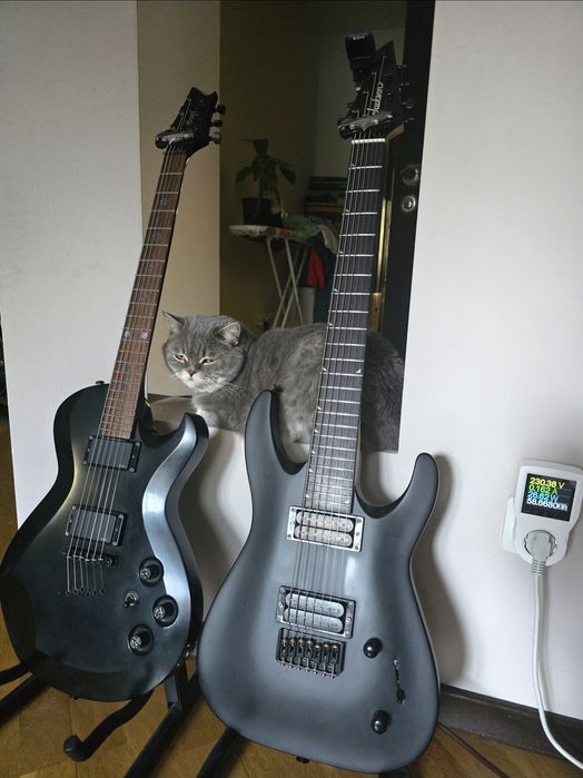 Заряджений семи струнний Jackson js22 7 dimarzio stainless steel