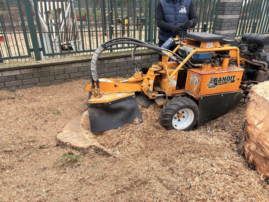 Frezowanie karp usuwanie pni karczownik