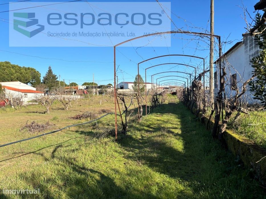 Quintinha a cinco minutos do centro de Castelo Branco