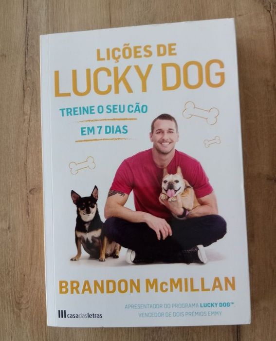 Lições de lucky dog