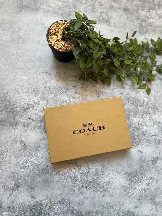 Топовий чоловічий набір Coach