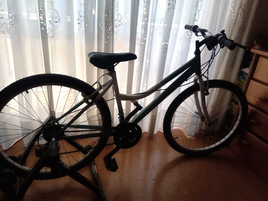 Bicicleta com rolo de treino