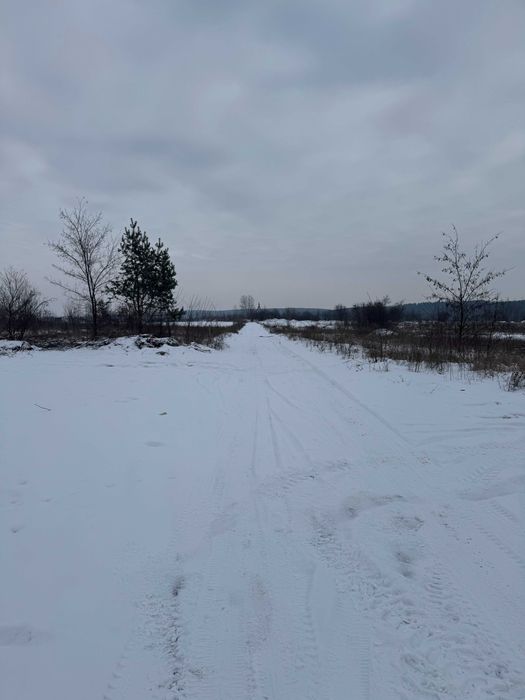 Ділянка від власника Шкуринці масив Поляна