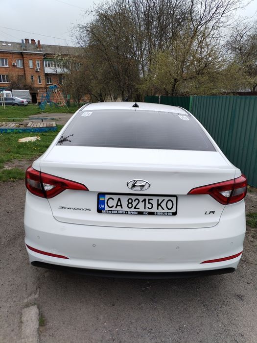 SONATA. LF. LPI. 2014.