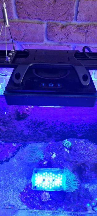 Zestaw oświetleniowy Ecotech XR15 G6 Blue LED do akwarystyki morskiej