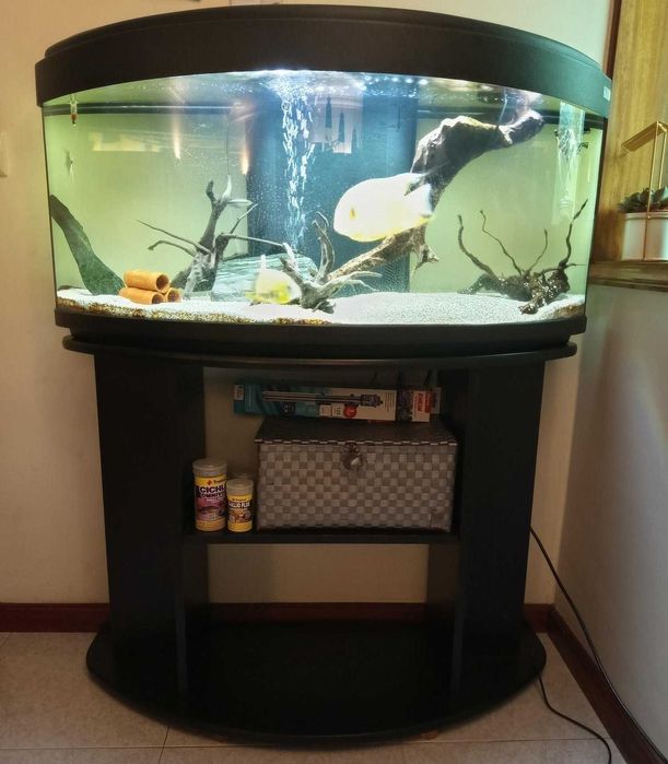 Aquário Panorâmico Aquatlantis 100 cm com Móvel – Bom Estado