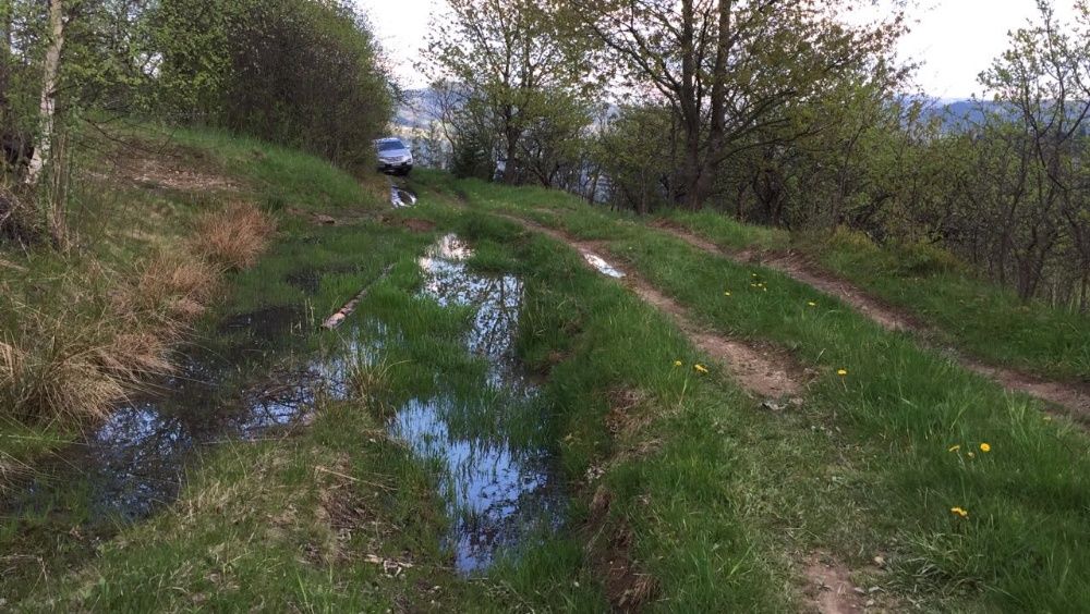 Трансфер, VIP, Весільний кортеж, трансфер в аеропорт