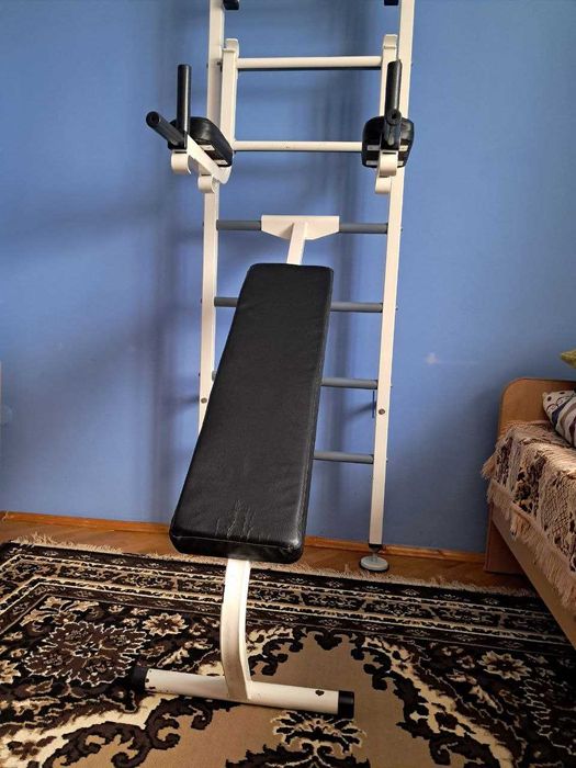 Металева шведська стінка