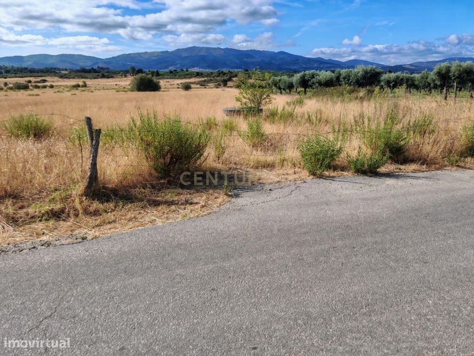 Terreno rústico, 9,6ha Alcaria - Fundão