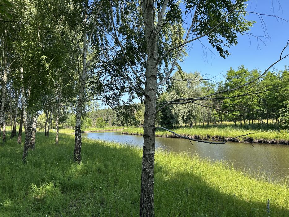 Будинок з озером