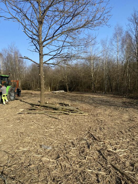 Usługi mulczerem powierzchniowym/ Mulczer/czyszczenie działek