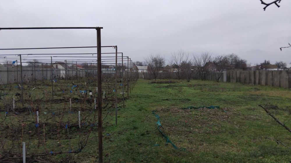 Будинок з новим вел. гаражем і виноградниками в Ч. Слободі (п3)