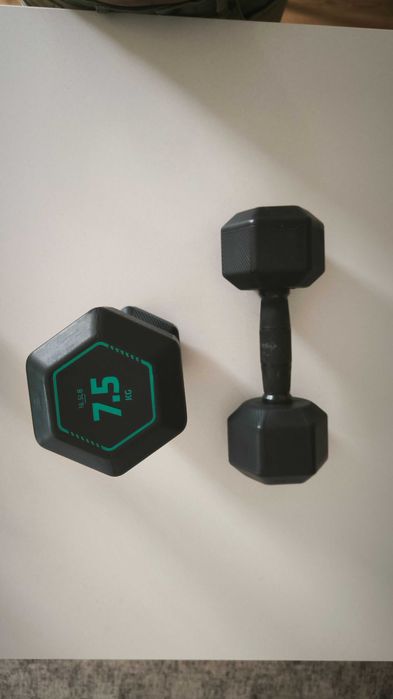 Halteres hexagonais 7,5kg