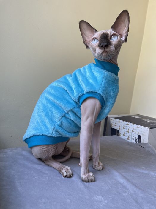 Безрукавка кофта тепла светр для сфінкса свитер для кота