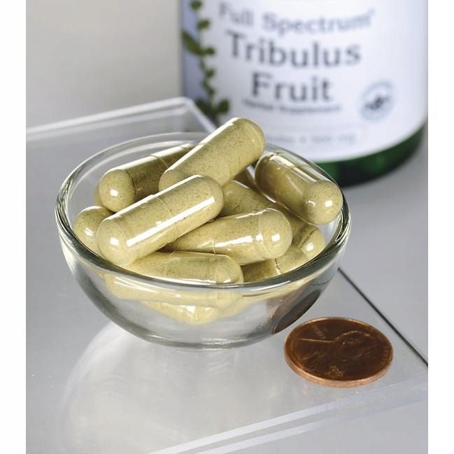 swanson buzdyganek tribulus libido potencja 500mg