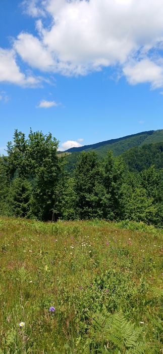 Земля під туристичний комплекс + проектна пропозиція
КОМПЛЕКСУ «ШЕШОР