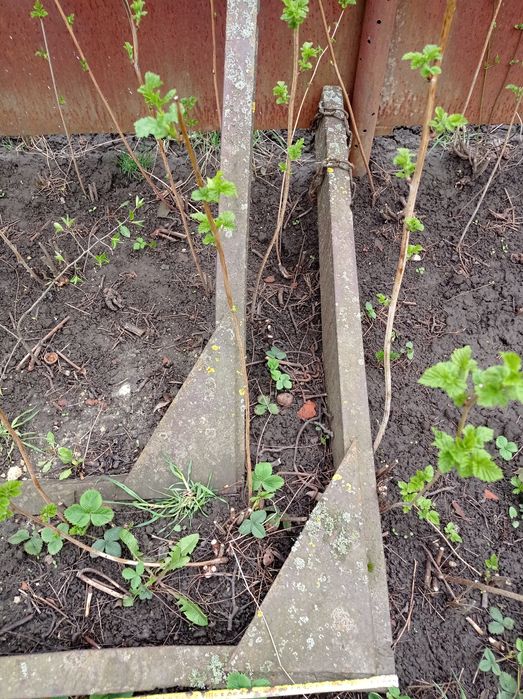 Роги до лісовоза