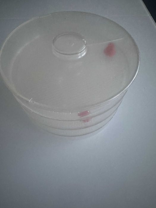 Kiełkownica naczynie do kiełków