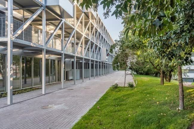 T1 Novo em Guimaraes