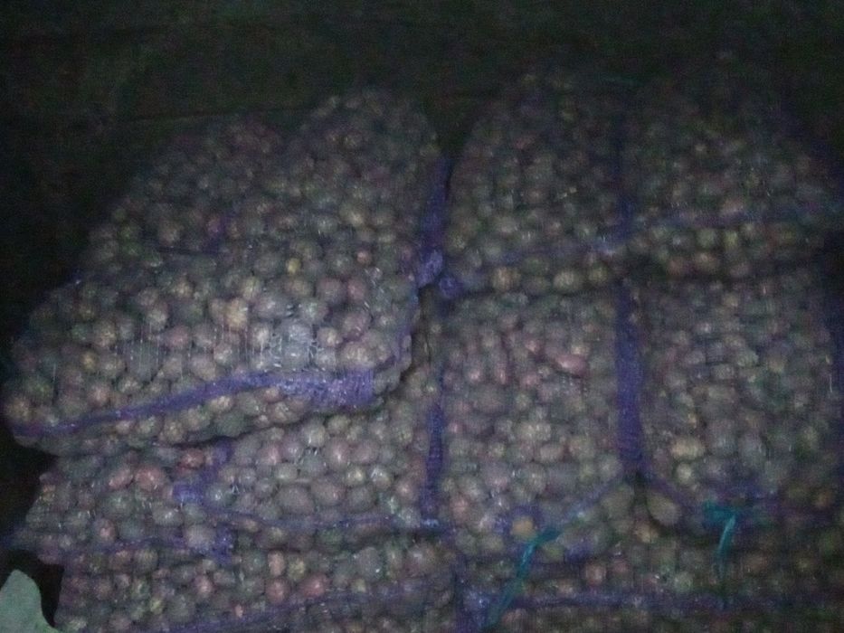 Дрібна бульба ..