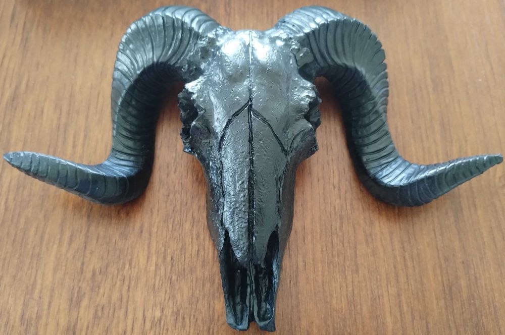 Caveira Cranio Carneiro Decorativo
