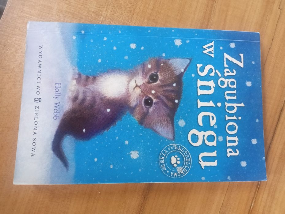 zagubiona w śniegu Holly Webb