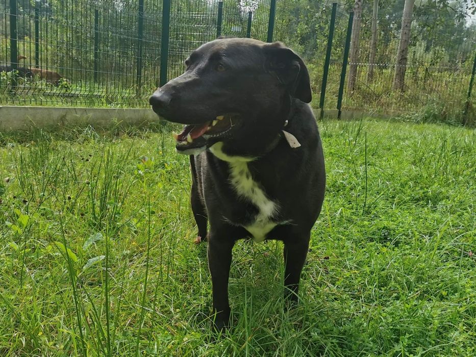 Doner czeka na dom...