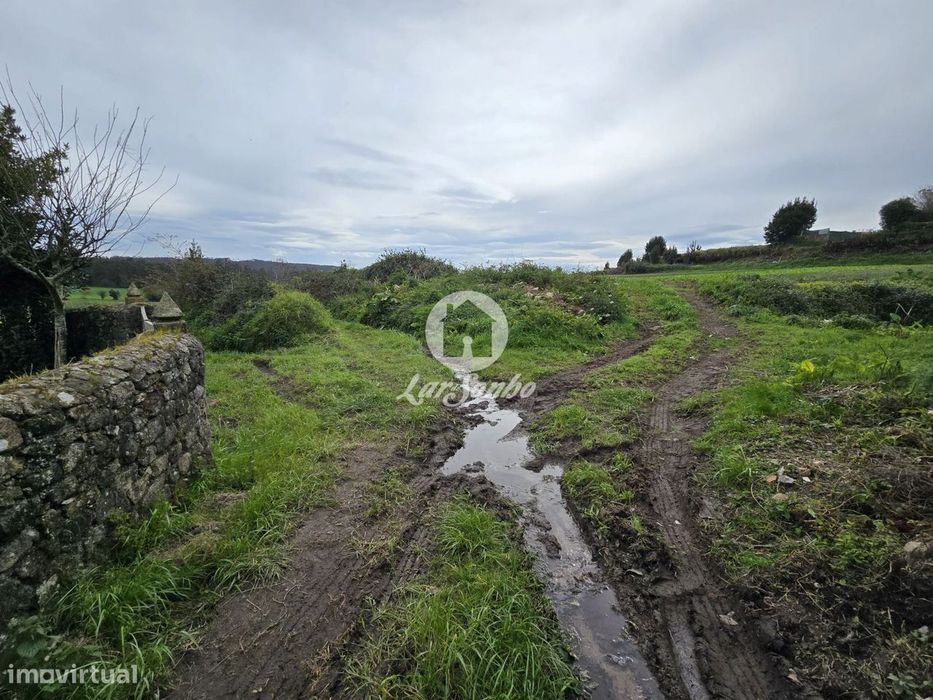Terreno Agrícola  Terroso | 2.722m²