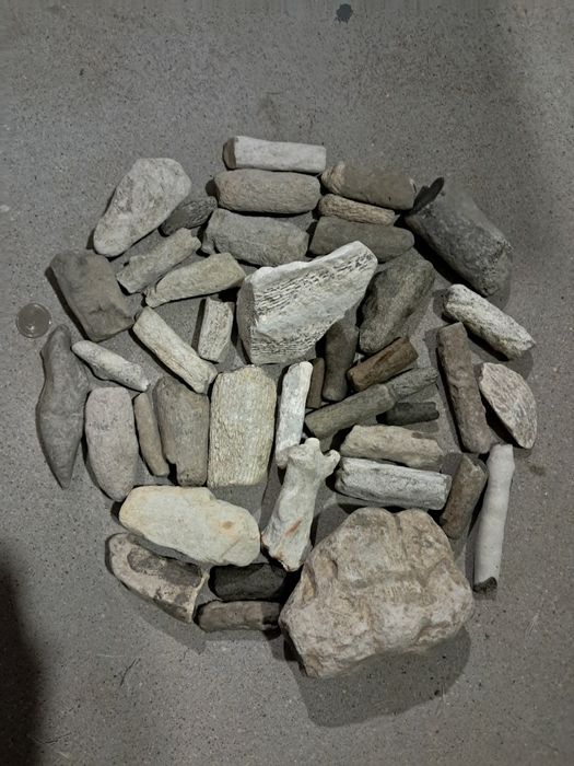 Skamieniałości, krzemienie i minerały