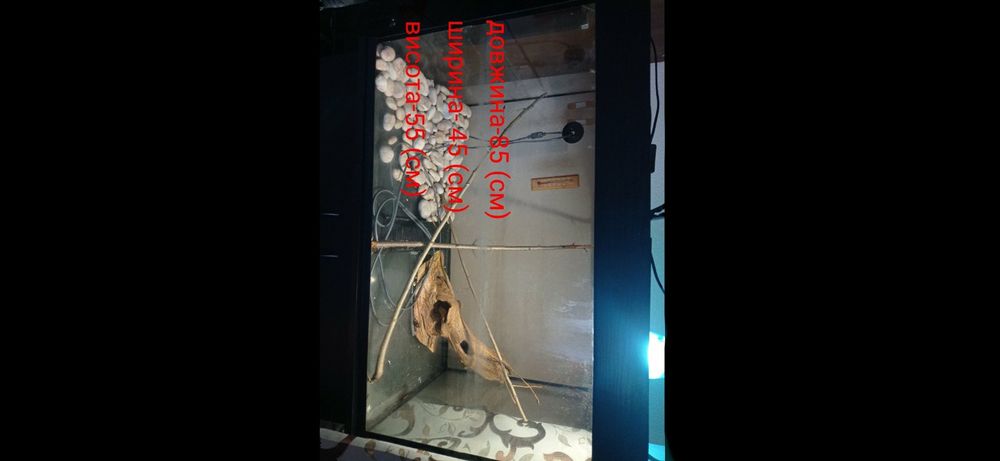 Тераріум для тваринок