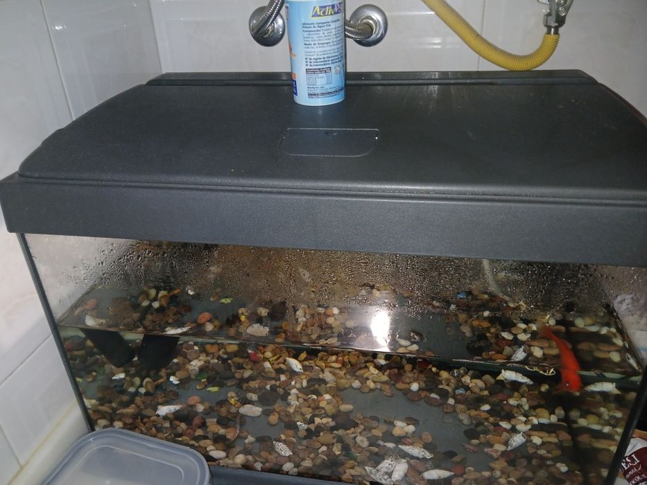 Aquário de peixes