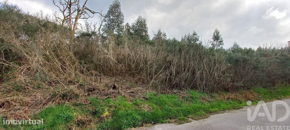 Casa rústica em Cambra e Carvalhal de Vermilhas de 3971 m2