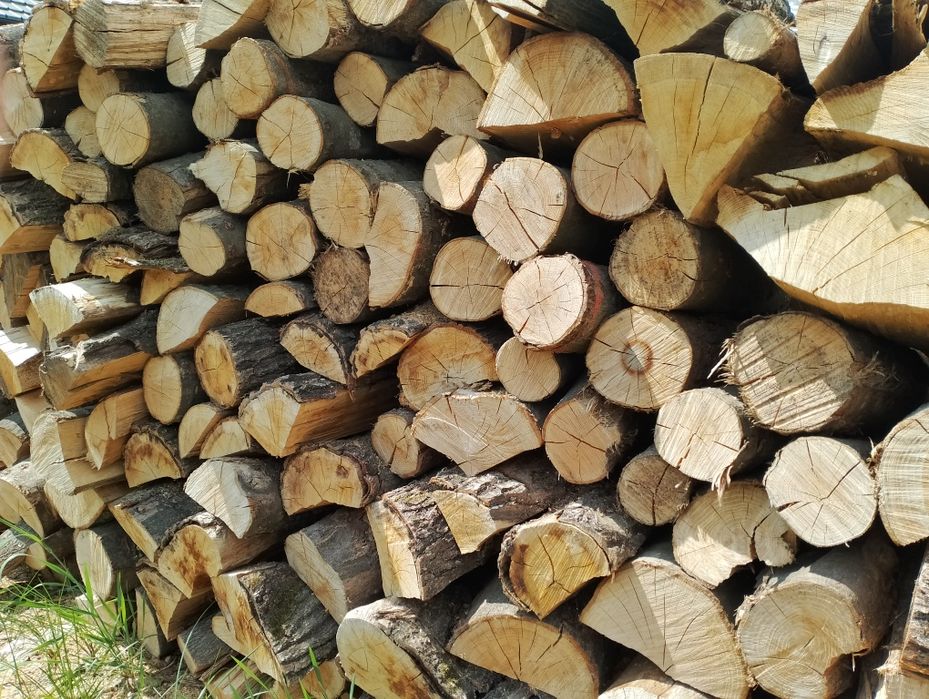 Drzewo, drewno opałowe kominkowe