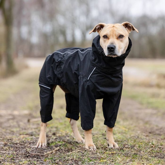 Дощовик Rukka Protect Overall 55розмір