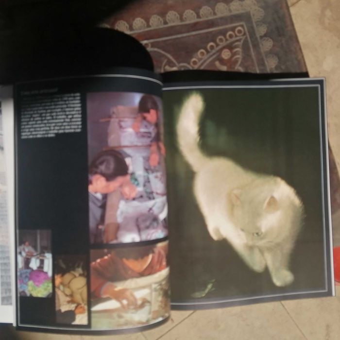 livro - paises e povos do mundo - china - 1985