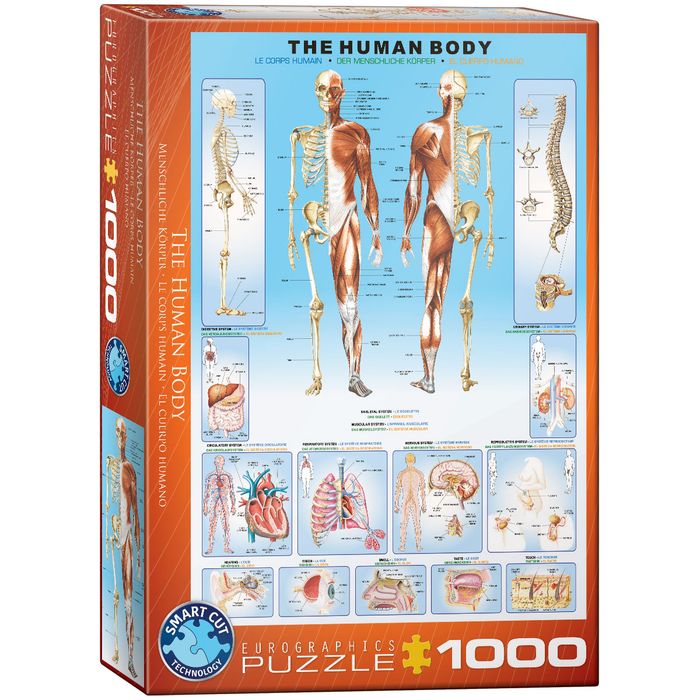 Puzzle 1000 The Human Body 6000-1000. Nowy Produkt