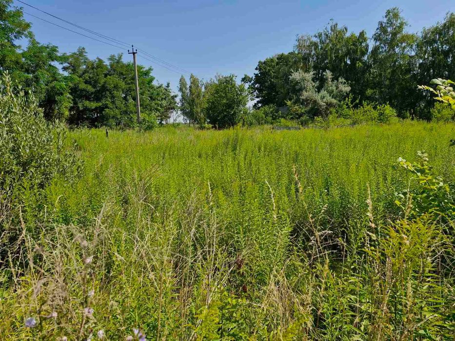 Продам кутову ділянку в с. Іванків