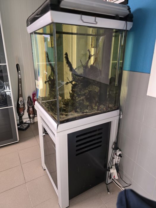 Aquario Cubo com sump Sunsun em alumínio/PVC Agua Salgada/Agua doce