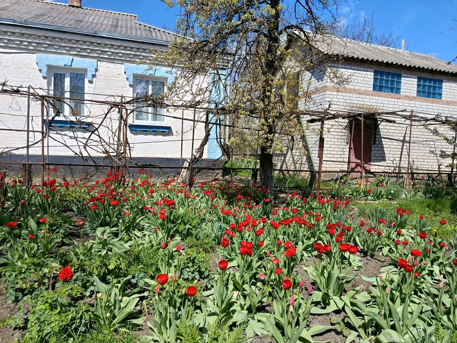 Продаж приватного будинку.