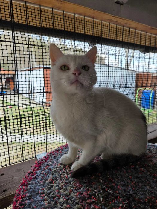 AGREST - Schronisko dla Zwierząt w Ostródzie