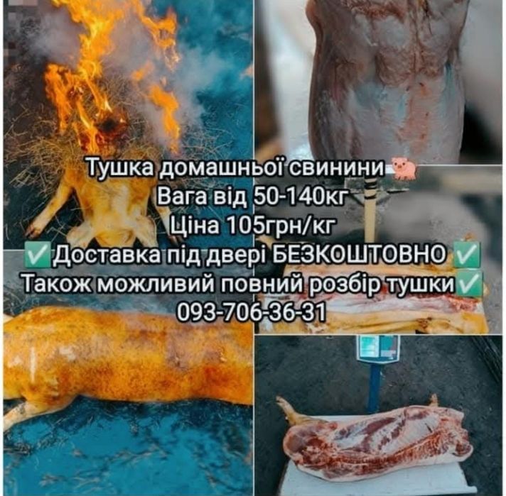 Продам сало, гарно вижарене. З домашніх свиней.