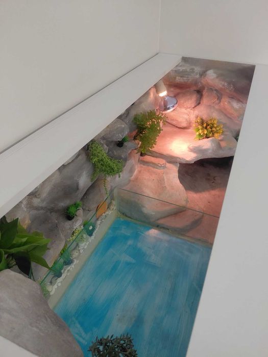 Terrarium dla żółwia