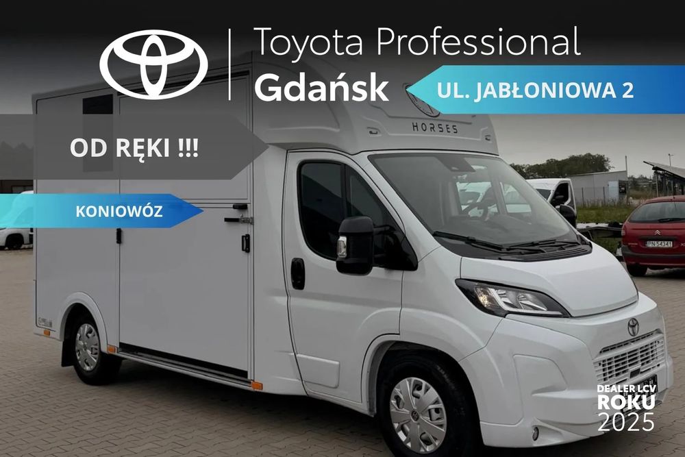 Pozostałe Dostawcze