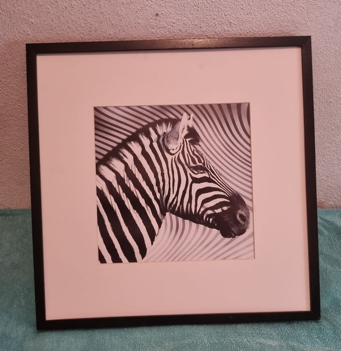 Quadro preto e branco Zebra